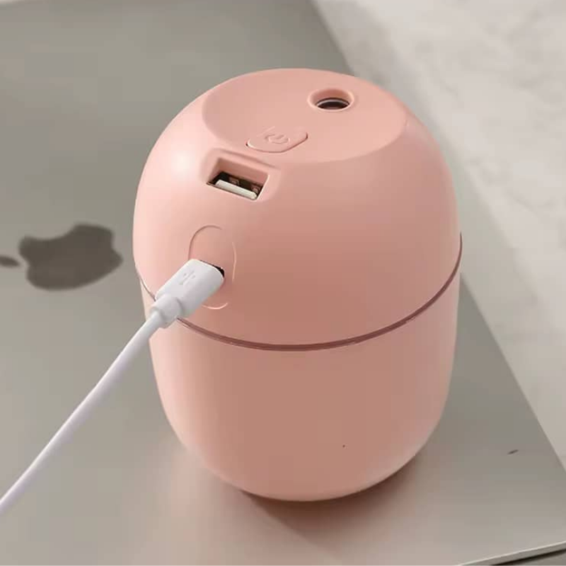 Humidificateur d'air