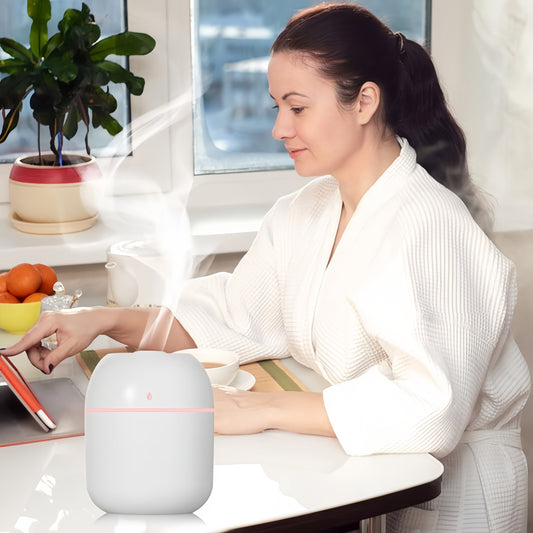 Humidificateur d'air